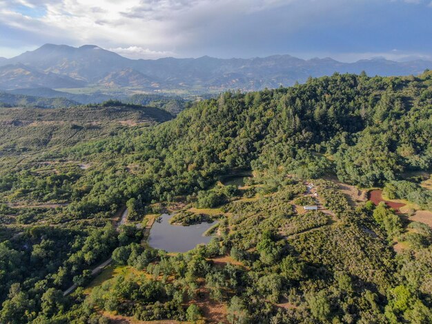 アメリカカリフォルニア州ナパバレーの樹木が茂る緑豊かな丘の空撮