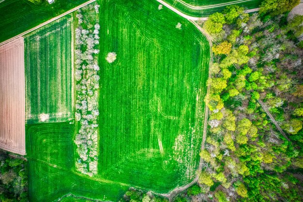 Aerial view of a vibrant green field surrounded by lush trees