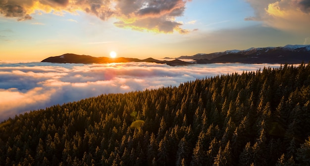 Aerial view of vibrant sunrise over mountain hills covered with evergreen spruce forest in autumn.