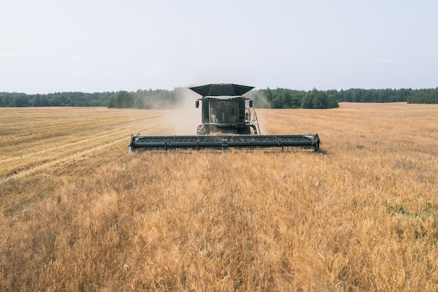 Photo aerial view of wheat harvest drone shot flying over three combine harvesters working on wheat field