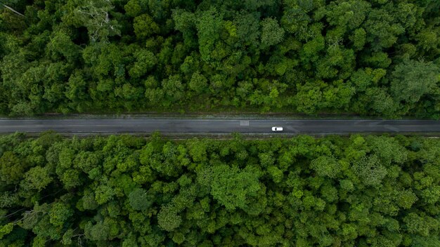 Aerial view white electric vehicle car or EV car on green forest road EV car travel in green season Asphalt road and green forest Forest road going through forest with white electric car