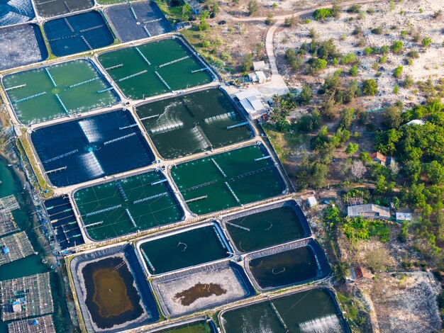 Aerial view of white shrimp prawn farm with aerator pump in O Loan lagoon Phu Yen province Vietnam