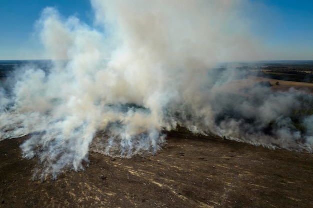 Photo aerial view of white smoke from forest fire rising up polluting atmosphere natural disaster concept