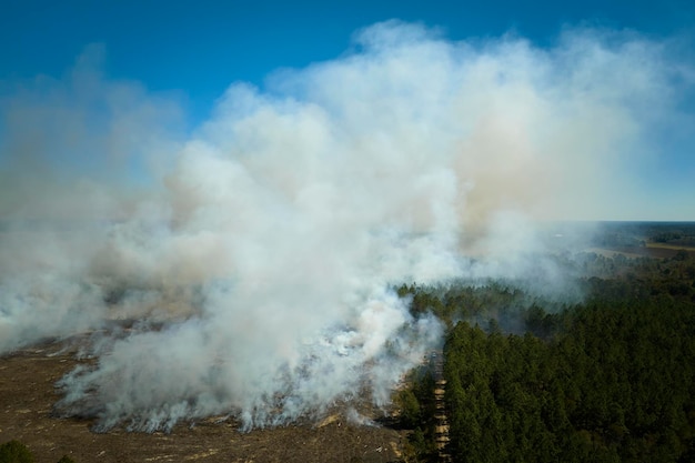 Aerial view of white smoke from forest fire rising up polluting atmosphere Natural disaster concept