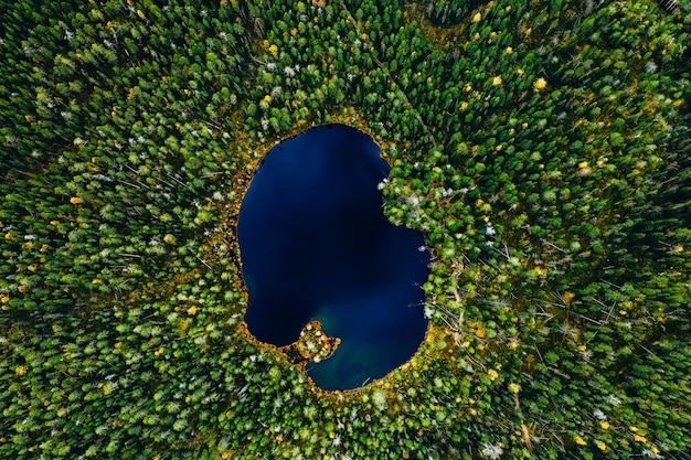 Aerial view of wild forest lake in summer Finland Lapland Small blue lake in green pine tree forest in rural Finland