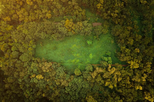 The aerial view of wild and grass field in the center of wild