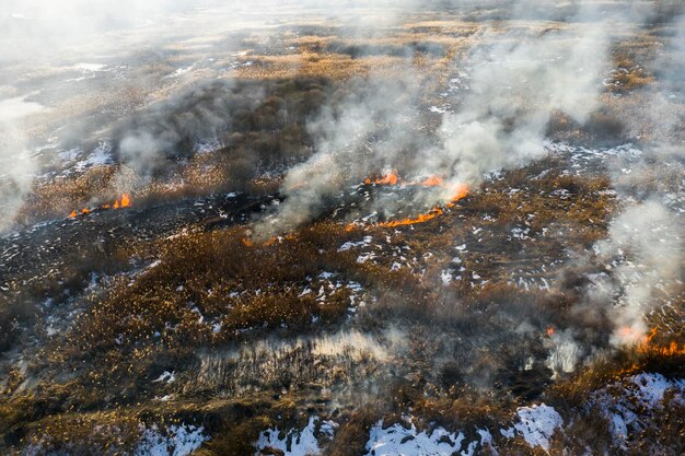 Photo aerial view of wildfire on the field huge clouds of smoke