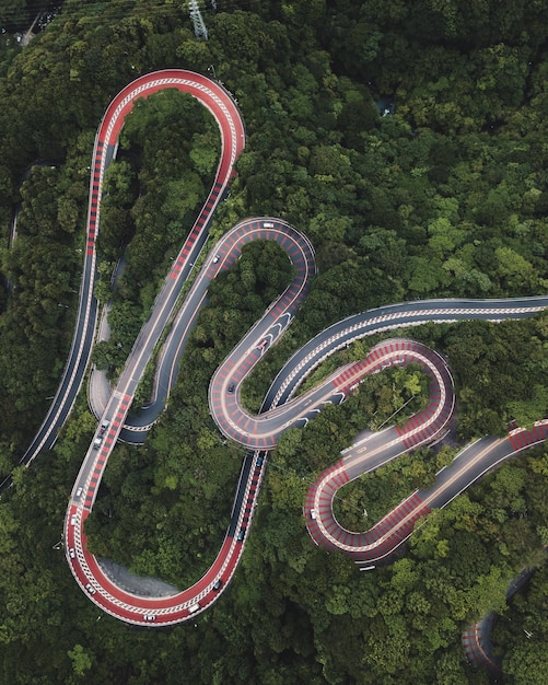 aerial view of winding road in forest