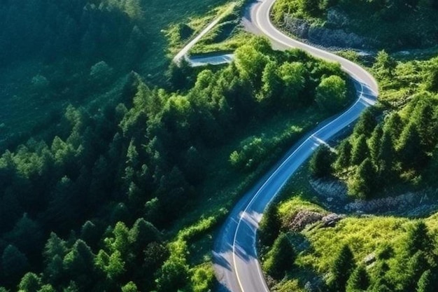 Aerial view of winding road in high mountain pass trough dense green pine woods