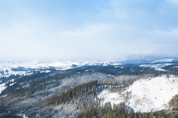 Aerial view of  Winter forest and the road. Winter landscape