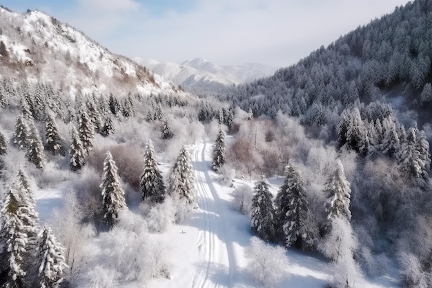 눈 인 나무가 있는 겨울 숲의 공중 풍경 아름다운 겨울 풍경 생성 AI