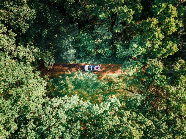 Aerial view woman laying down on suv car roof in the middle of the forest trail road copy space