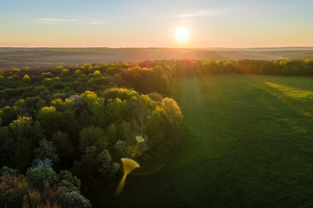 Aerial view of woodland with fresh green trees and agricultural arable fields in early spring at sunset