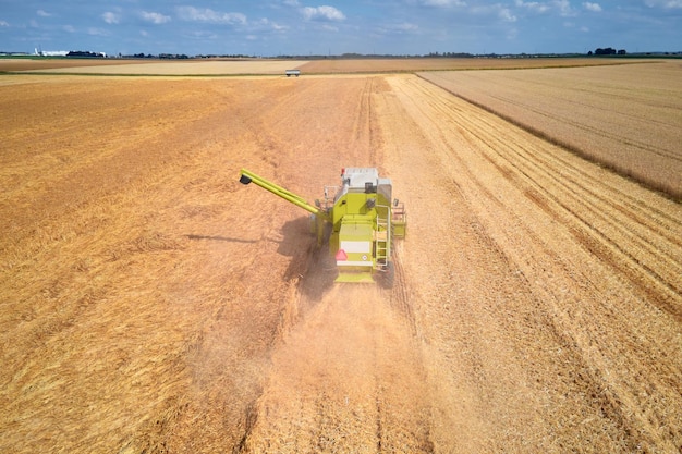 Aerial view of working harvesting combine in wheat field Harvest season