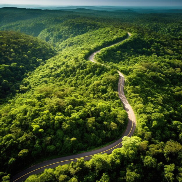 Photo aerial view of a zigzag mountain road and autumn trees