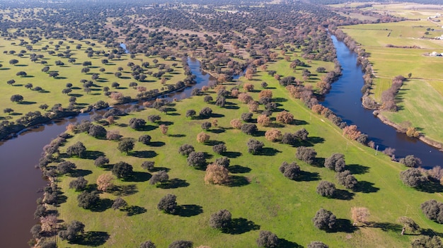 Вид с воздуха двух рек вдоль сельской местности