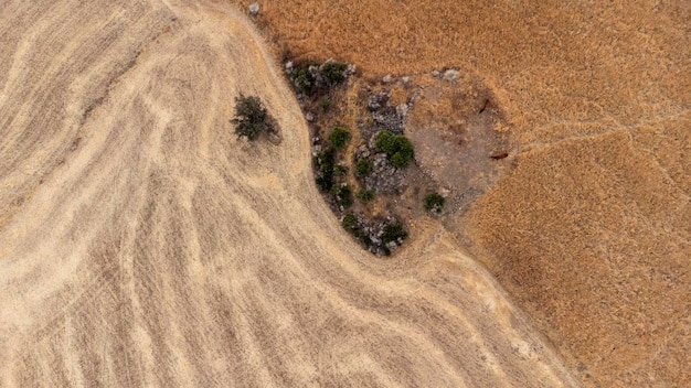 Aerial views of cereals