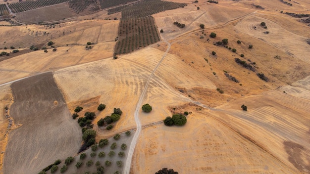 Aerial views of cereals