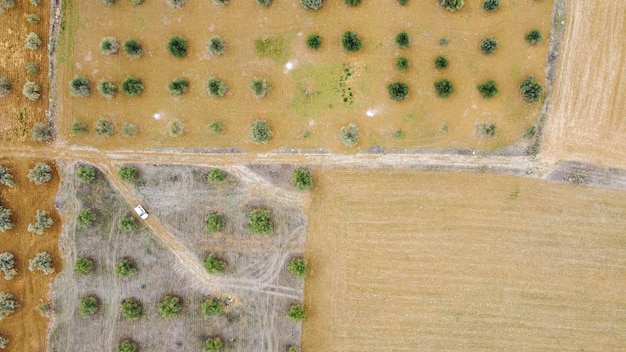 Aerial views of cereals