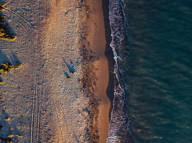 Aerial views of a girl with her dog at a virgin beach, in Natural park Punta Entinas, Almeria, Spain