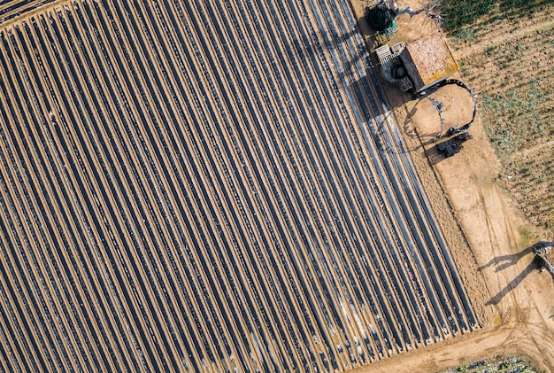 Aerial views of several fields of crops