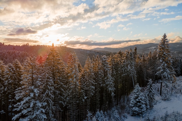 雪の小枝の木が夕方に冷たい山の森に覆われた空中冬の風景。