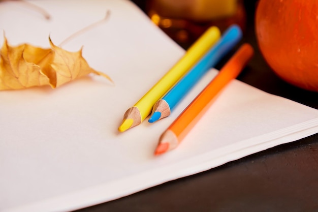 Эстетичный осенний макет среди листьев и цветных карандашей Создайте пустой макет альбома Устойчивый экологически чистый фон образа жизни Желание Хэллоуина