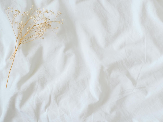 Aesthetic bed sheet and dried flower background