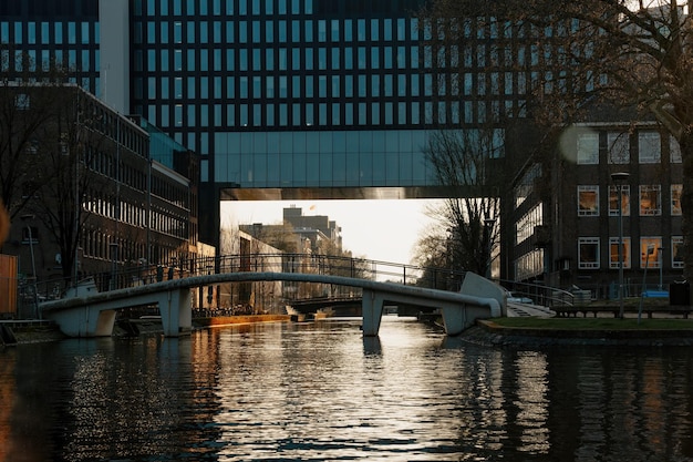 Эстетические каналы Амстердама на закате вид с воды плавучие дома на канале плавучие дома отели Романтическая прогулка на лодке по каналу в Амстердаме