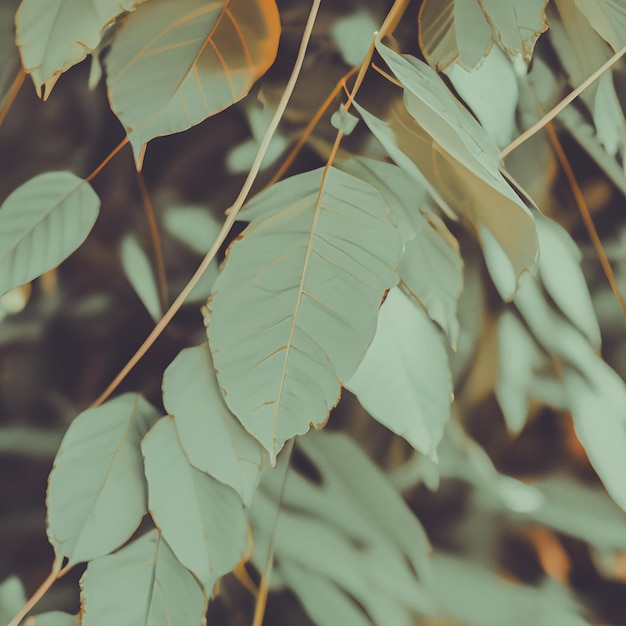 Aesthetic Green Background With Leaves And Plants