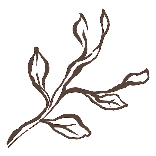 エステティックな葉 png スティッカー 植物学的なラインアート 透明な背景