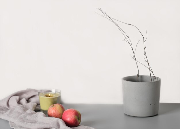 Aesthetic minimal hygge interior design concept apples and cement flowerpot with tree branch on a grey background copy space