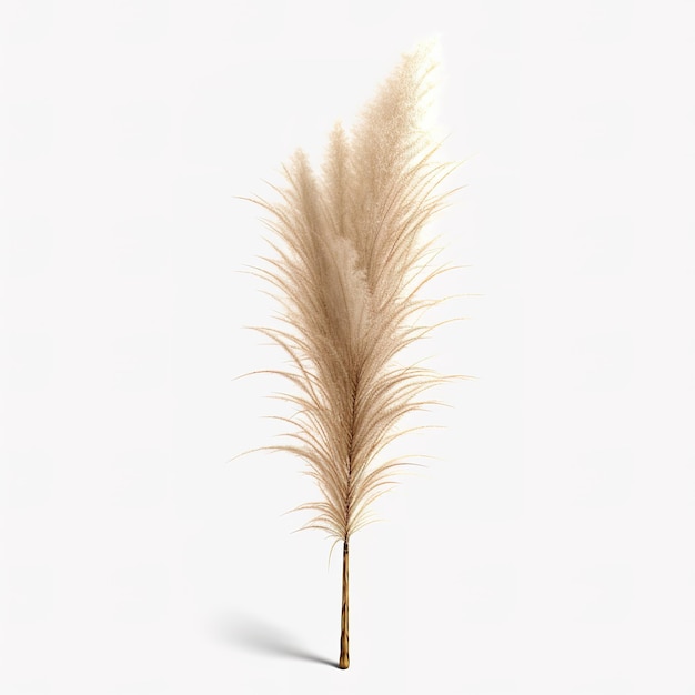 Photo aesthetic pampas grass