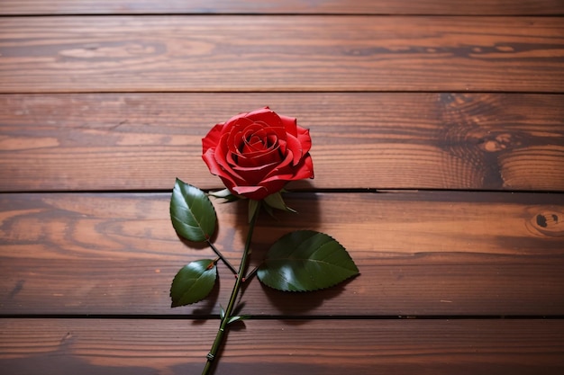 Aesthetic photo of red rose lay flat on wooden table top view