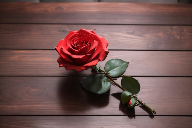 Aesthetic photo of red rose lay flat on wooden table top view