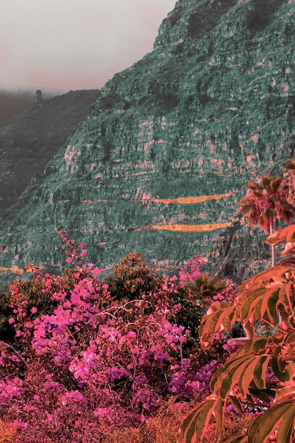 写真 審美的なレトロな蒸気波の風景