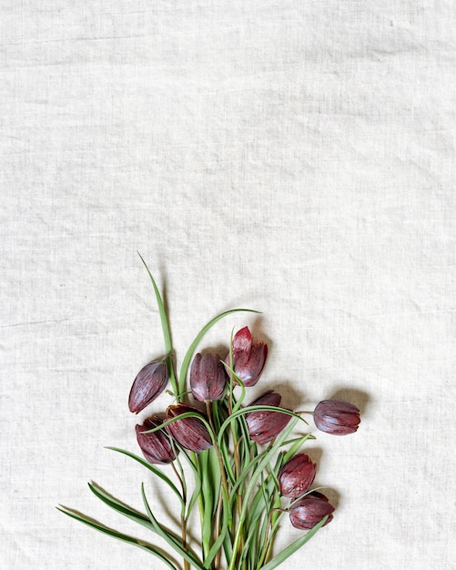 写真 エステティック・スプリング・フローラル・フラット・レイ・ミニマル・スタイル (top view fresh fritillaria meleagris flowers nature flowering wildflower with green leaf purple petal flowery still life on cloth on table)  緑の葉と紫の花びらで花をかせている野生の花が自然にいています