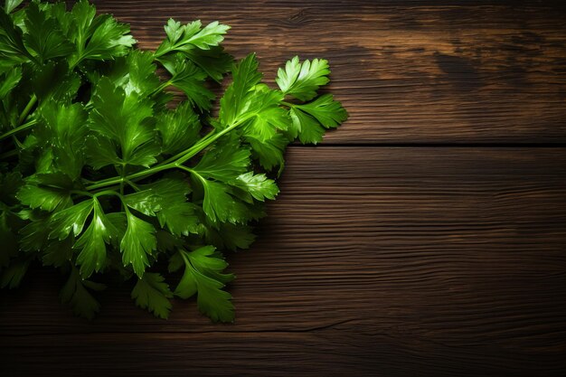 Aesthetic Still Life Parsley Leaves Resting on Rustic Brown Wooden Surface ar 32