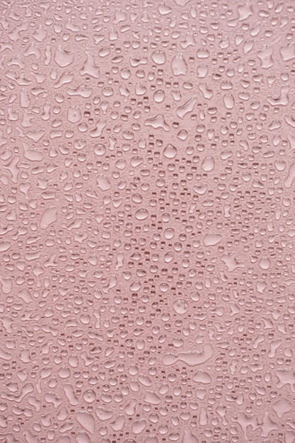 ピンクの表面に美しい水滴