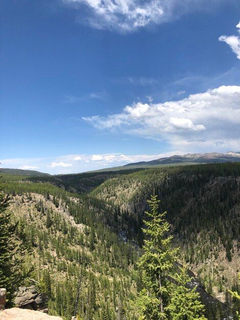 Aesthetic yellowstone picture