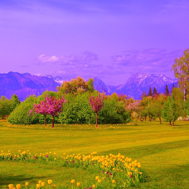 Aesthetics wallpaper mountain and trees. Slovenia. Travel concept