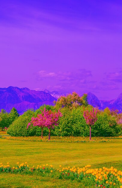 Aesthetics wallpaper nature. Mountain and trees. Slovenia. Travel concept