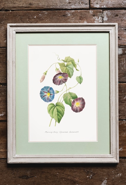 Afbeelding gaan hand tekening bloemen collectie in een frame