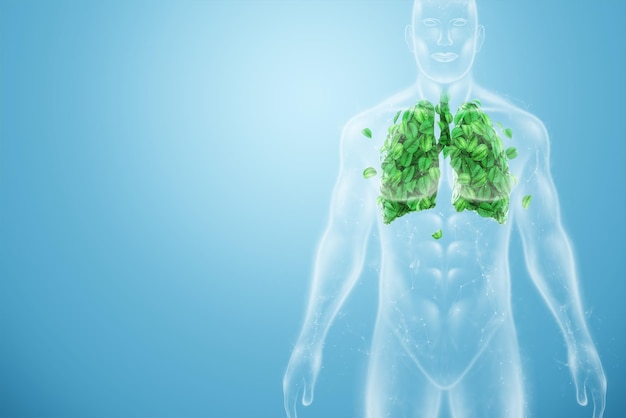 Afbeelding menselijke longen gemaakt van groene bladeren op de achtergrond van mannelijk lichaam frisse adem longontsteking preventie roken modern design tijdschriftstijl Kopie ruimte 3D illustratie 3D rendering
