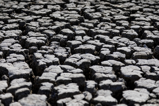 Afbeelding met droog land