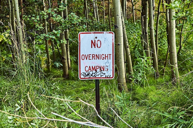 Afbeelding van geen overnachtingsplaats voor graffiti in het bos van aspen