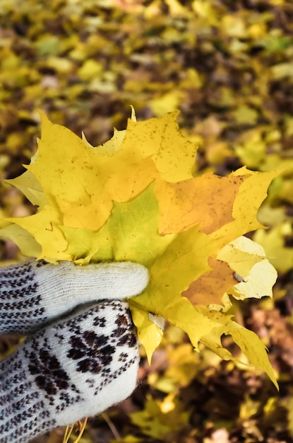 Afbeelding van handen in gebreide handschoenen met herfstbladeren