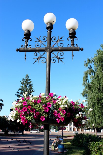 Afbeelding van lantaarns in het stadspark met hangende bloemen