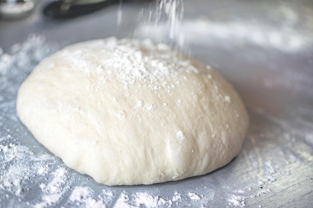 Afbeelding van Levitated and Puffed Bread Dough met cirkelvorm en besprenkeld meel