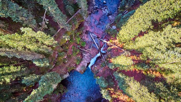 Afbeelding van luchtfoto die neerkijkt op de kloof van de kloof met rode rotsen en pijnbomen